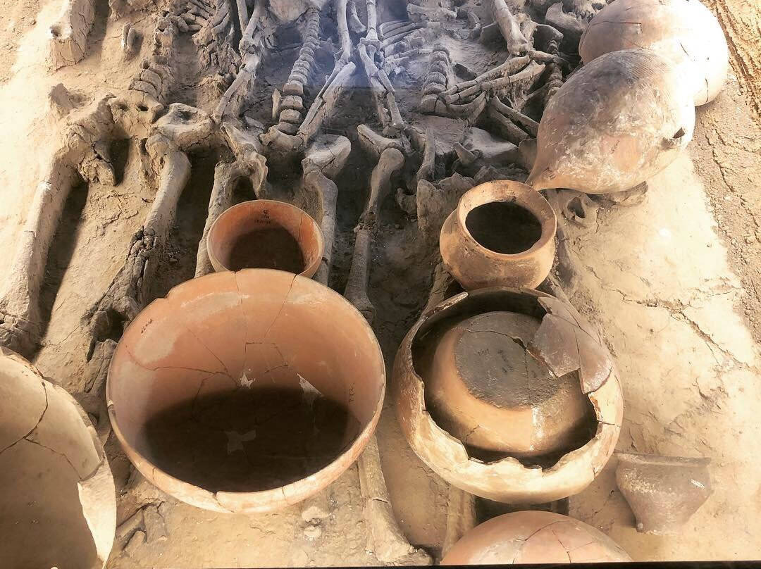 Xian Tours景点图片