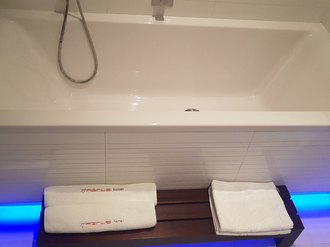 Hotel Magnus Trenčín主图