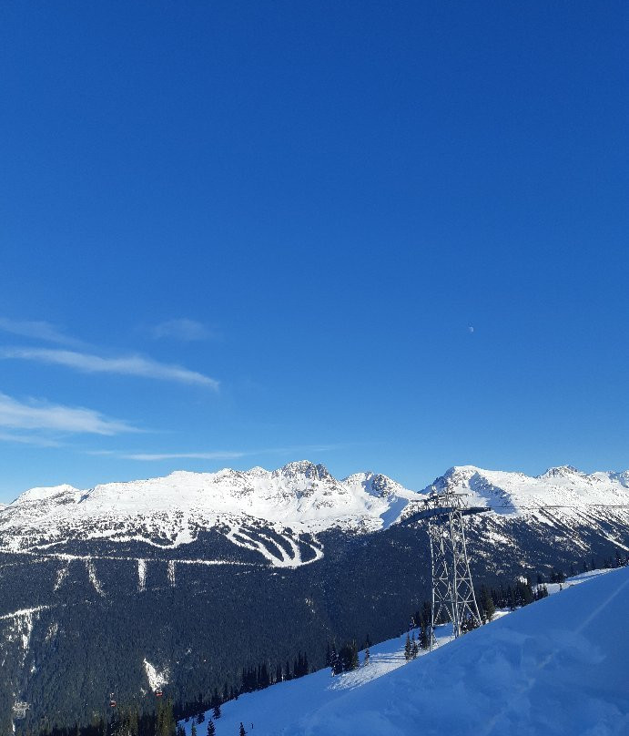 Peak to Creek-惠斯勒必去景点
