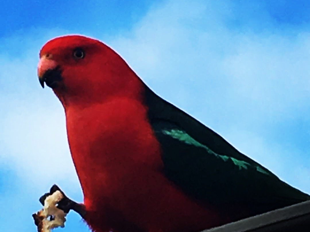 Narrawallee Beach-Narrawallee必去景点