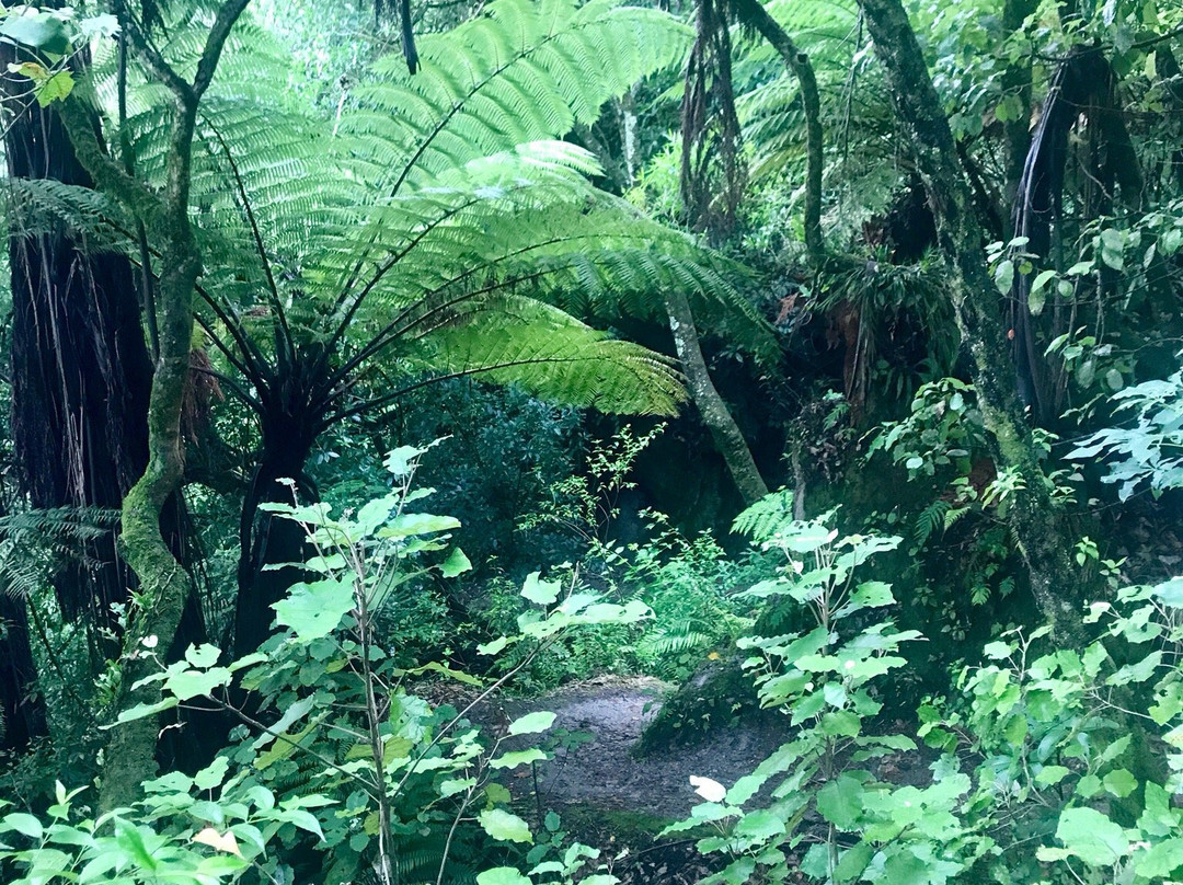 Tarawera Trail景点图片