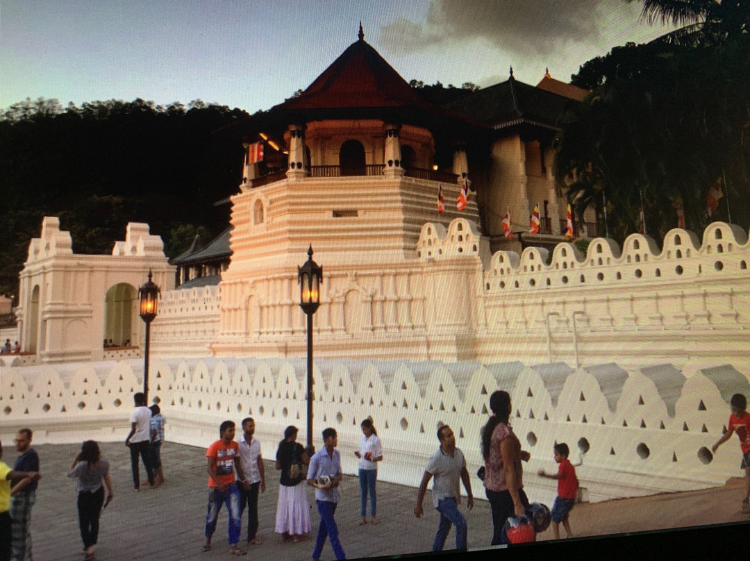 Sri Lanka Amal Tours-品纳维拉必去景点