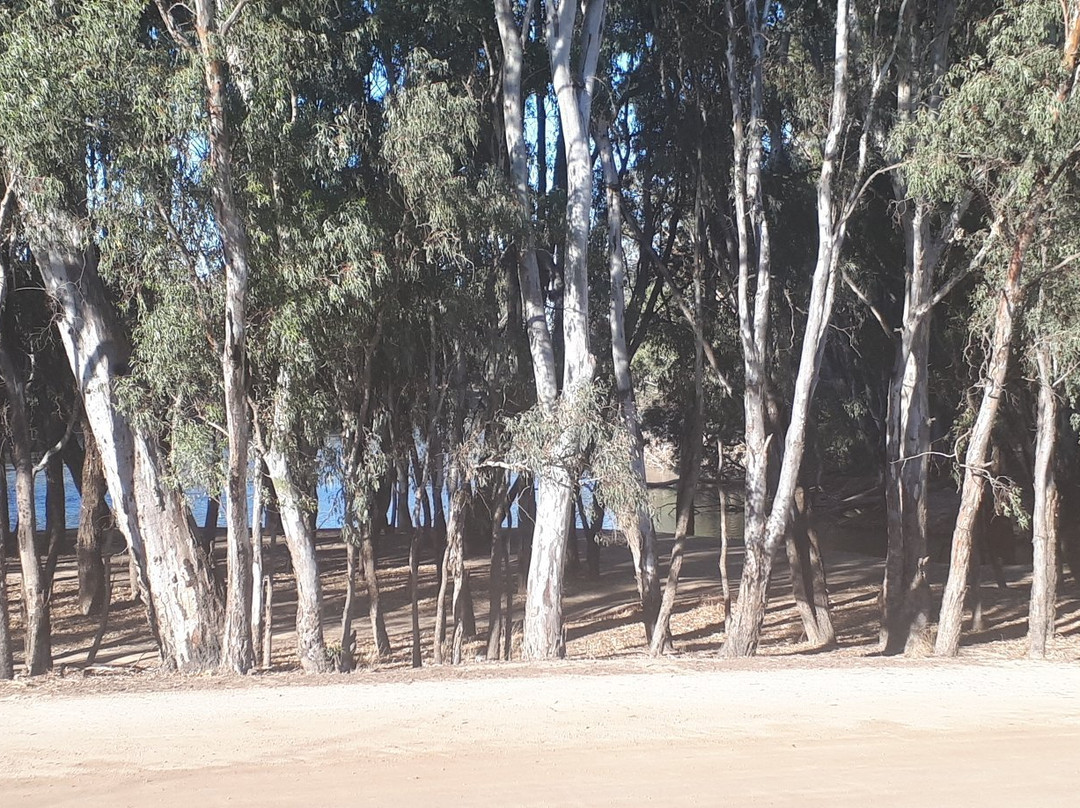 Murray Waters Motor Inn & Apartments主图