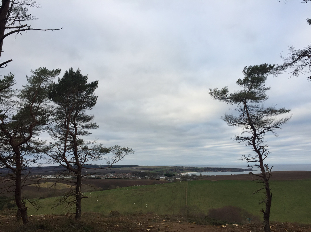 Crannoch-hill Loch景点图片