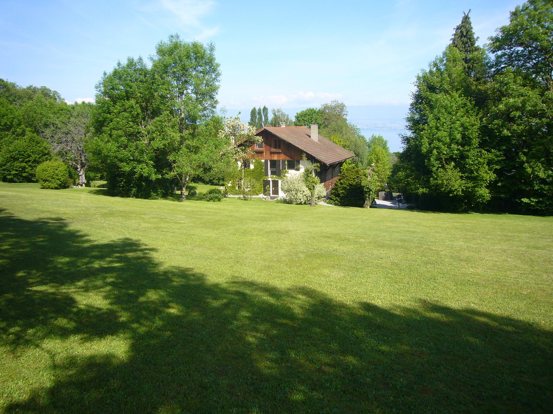 Domaine de l'Olifant主图