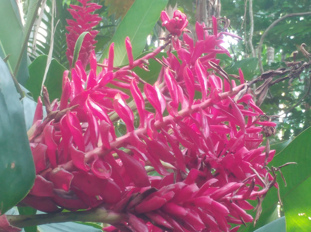 Pascoal spice village-Ponda必去景点