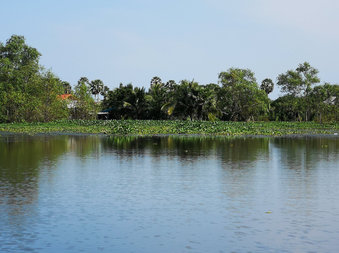 Khu Khut Water Fowl Park景点图片