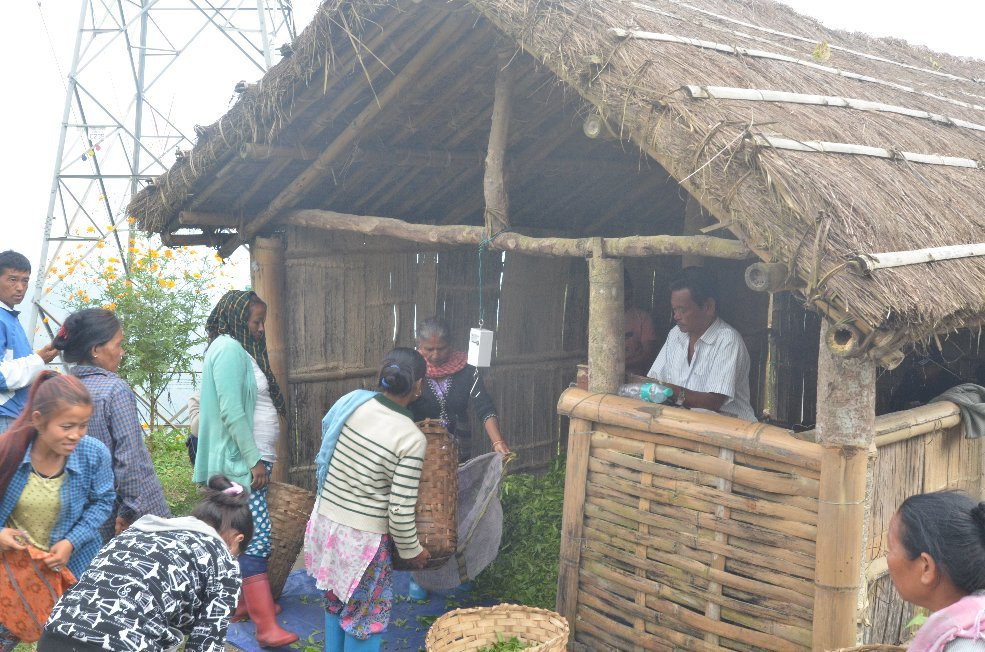 Makaibari Homestays主图