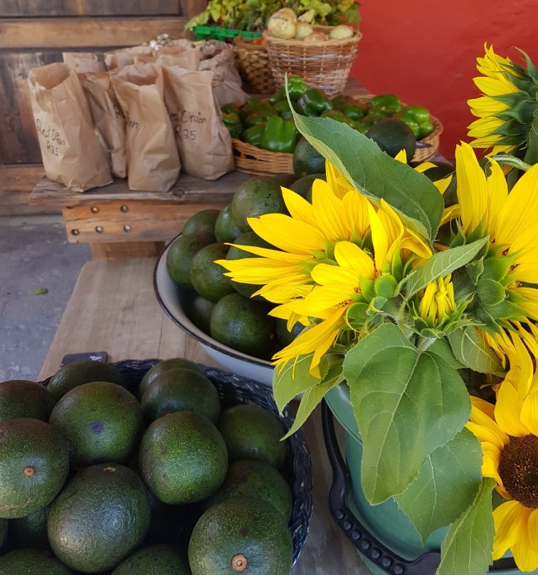 The Mill Country Fair-Hopefield必去景点