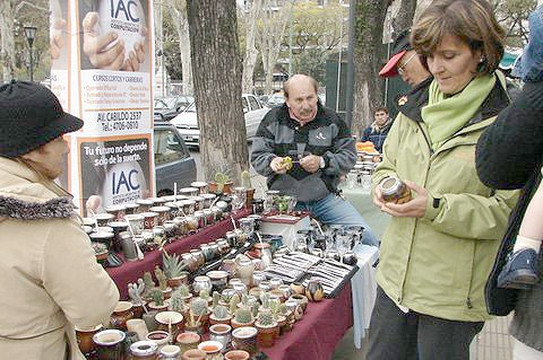 Buenos Aires Spanish-布宜诺斯艾利斯必去景点