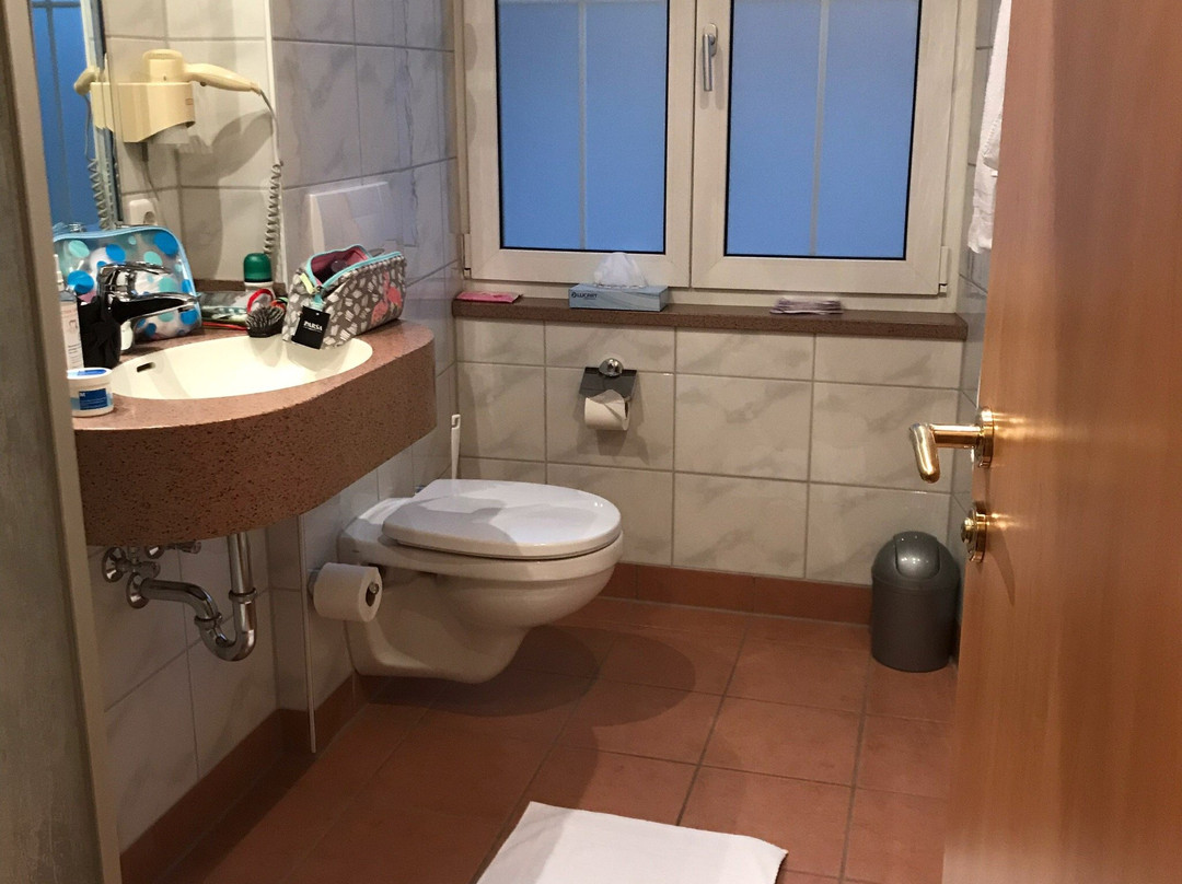 Hotel Krone主图