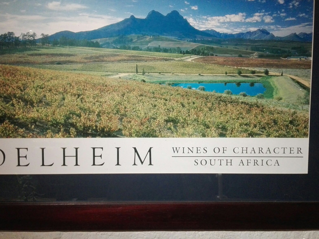 Private Cape Tours-康士坦提亚必去景点