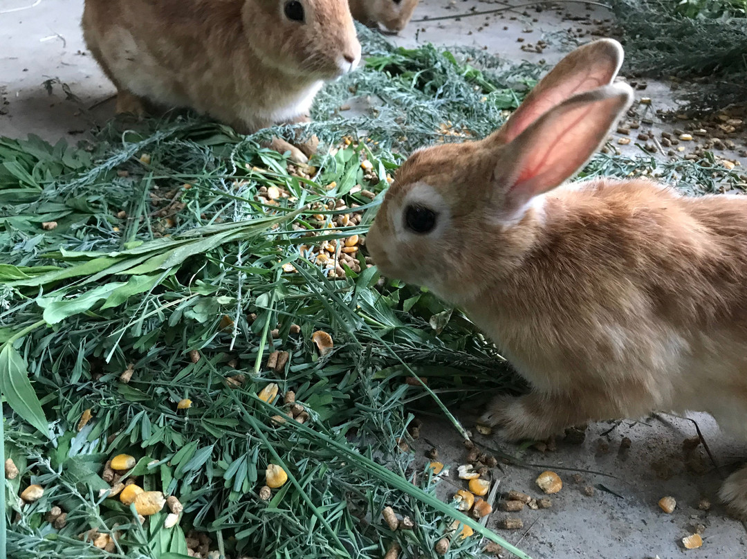 Maniwa Agri Garden-真庭市必去景点