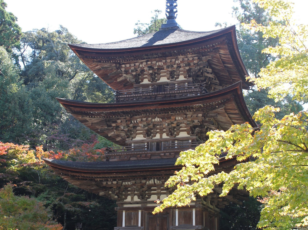 Saimyo-ji Temple 3 Storey Tower景点图片