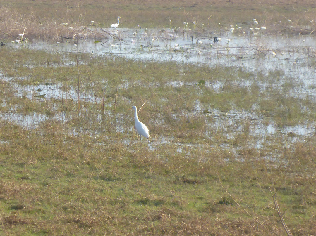 Mutton Hole Wetlands Conservation Park-Normanton必去景点