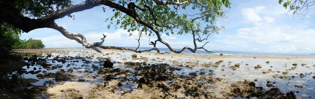 玛马玲度假村布纳肯主图