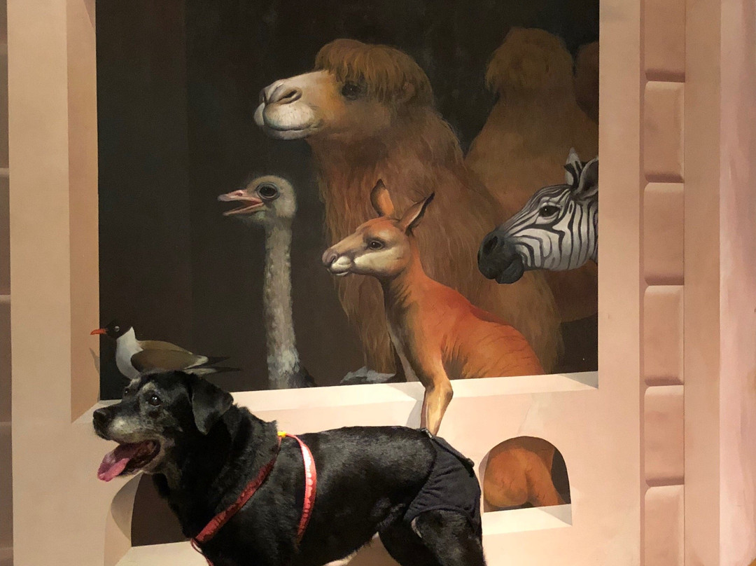 Trick Art Museum Karuizawa-轻井泽町必去景点