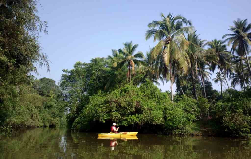 Goa Water Sports景点图片