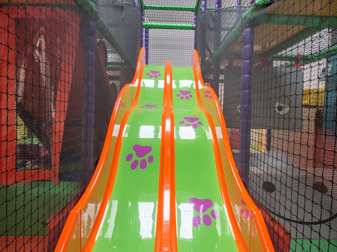 Junglecatz Soft Play-Morley必去景点