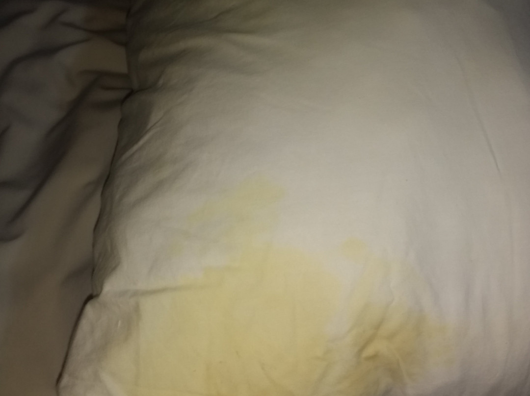 Mountainview Inn主图