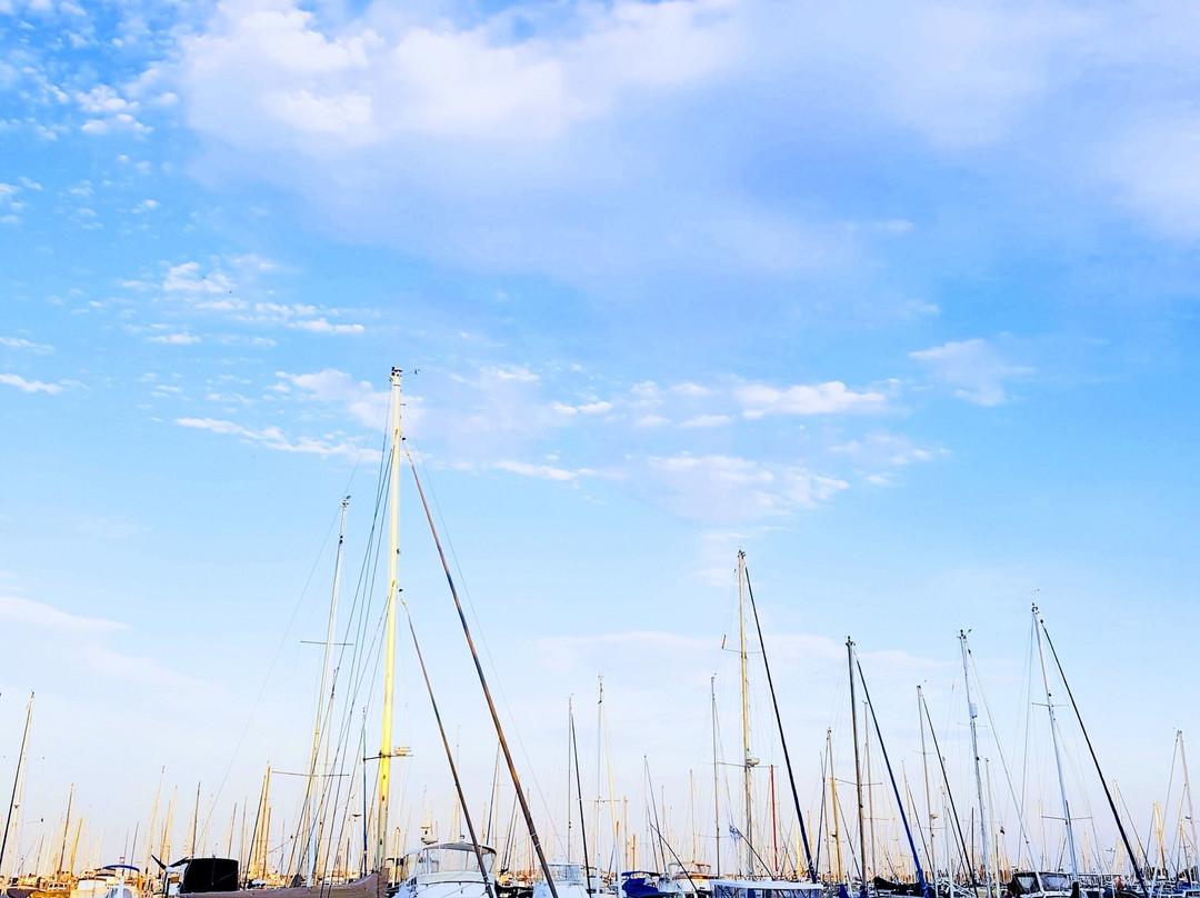 Manly Harbour Village景点图片