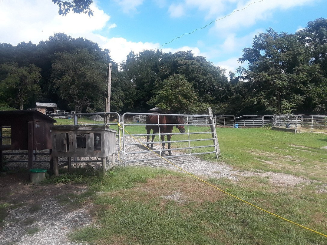 Sunset Stables-Lincoln必去景点