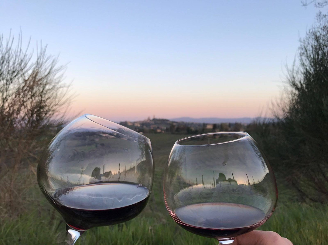 Podere La Marronaia- Le Colonne Biodynamic Winery & Farm-圣吉米尼亚诺必去景点