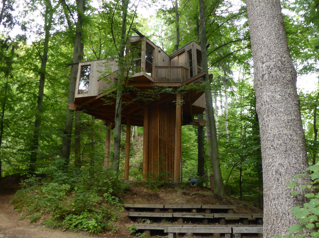 City Forrest Tree House-Celje必去景点