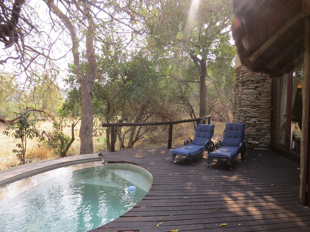 丁斯瓦洛野生动物园主图