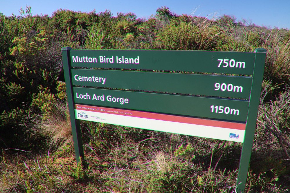 Mutton Bird Island Lookout景点图片