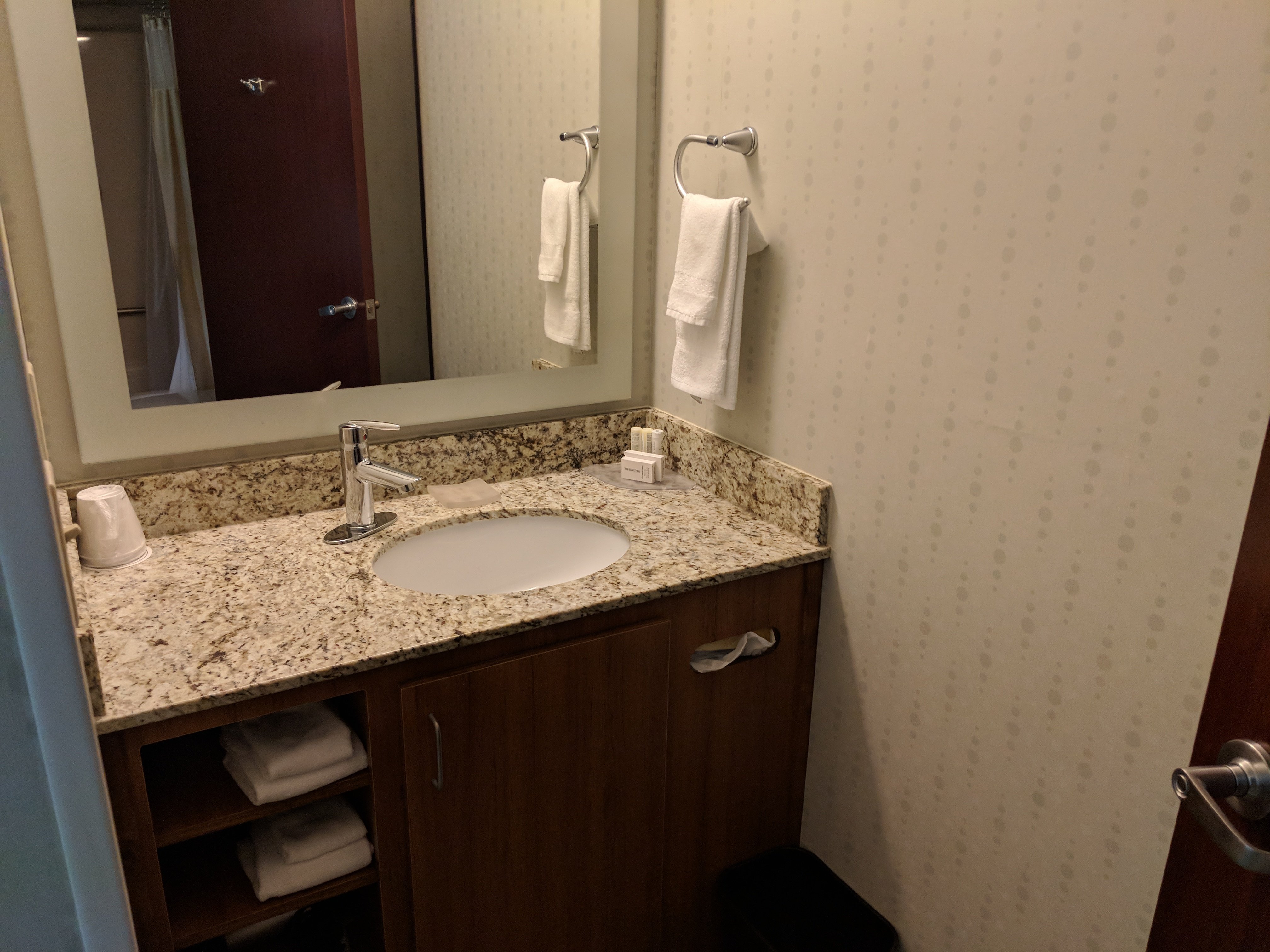 Springhill Suites Herndon Reston-浴室