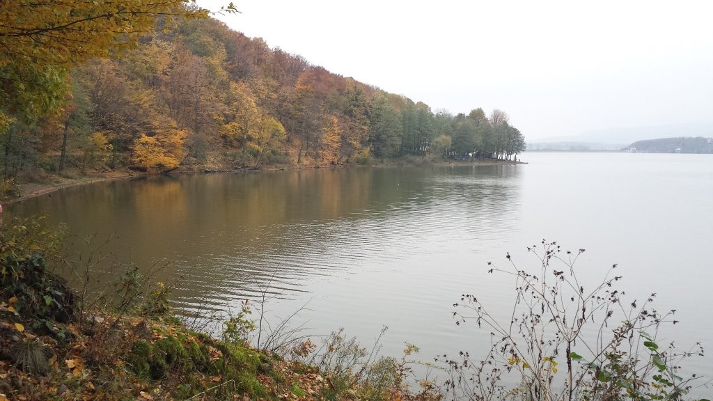 Lacul Călinești景点图片