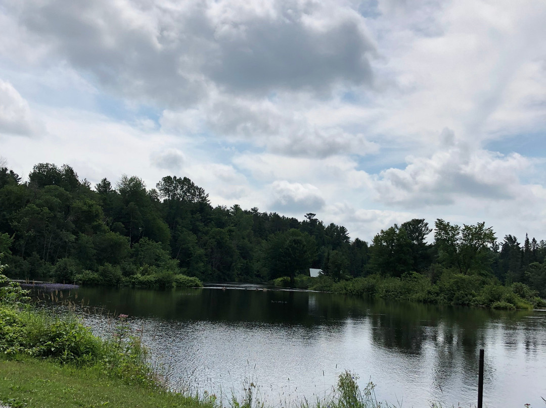 Camping Parc Ensoleillé