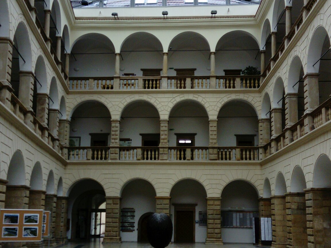Zamecky Hotel Zlaty Orel主图
