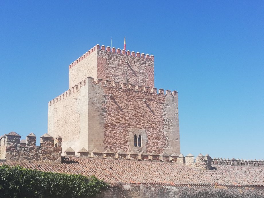 Castillo Alcazar de Enrique II景点图片