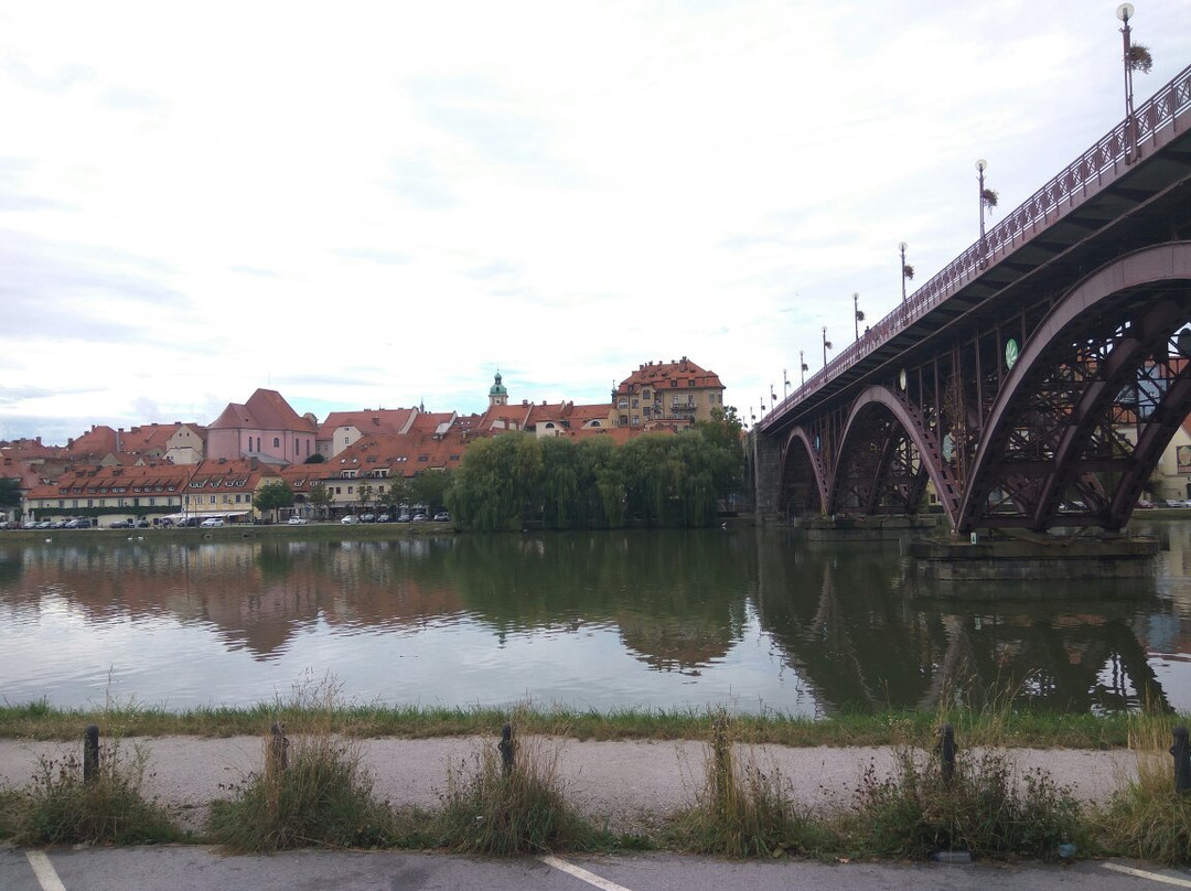 Old Bridge (Drava Bridge)景点图片