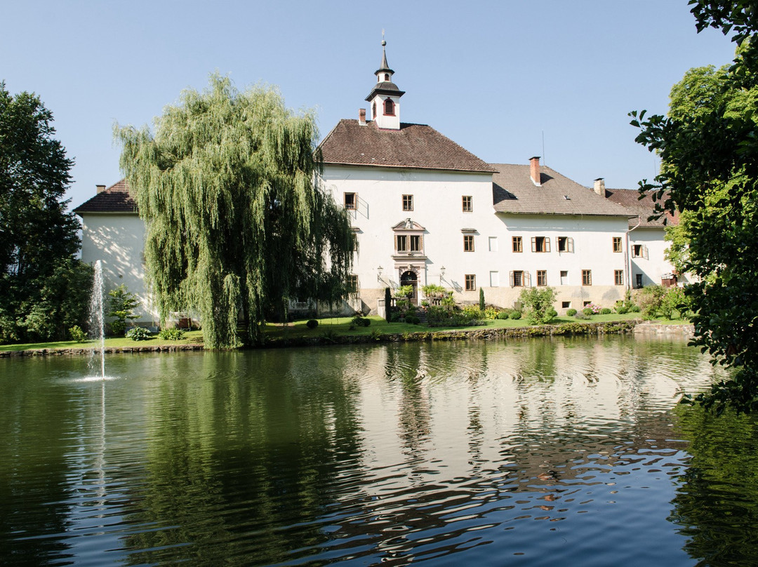 Schloss Rothenthurn景点图片