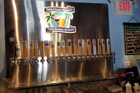 Two Lions Winery & Palm Harbor Brewery-帕姆港必去景点