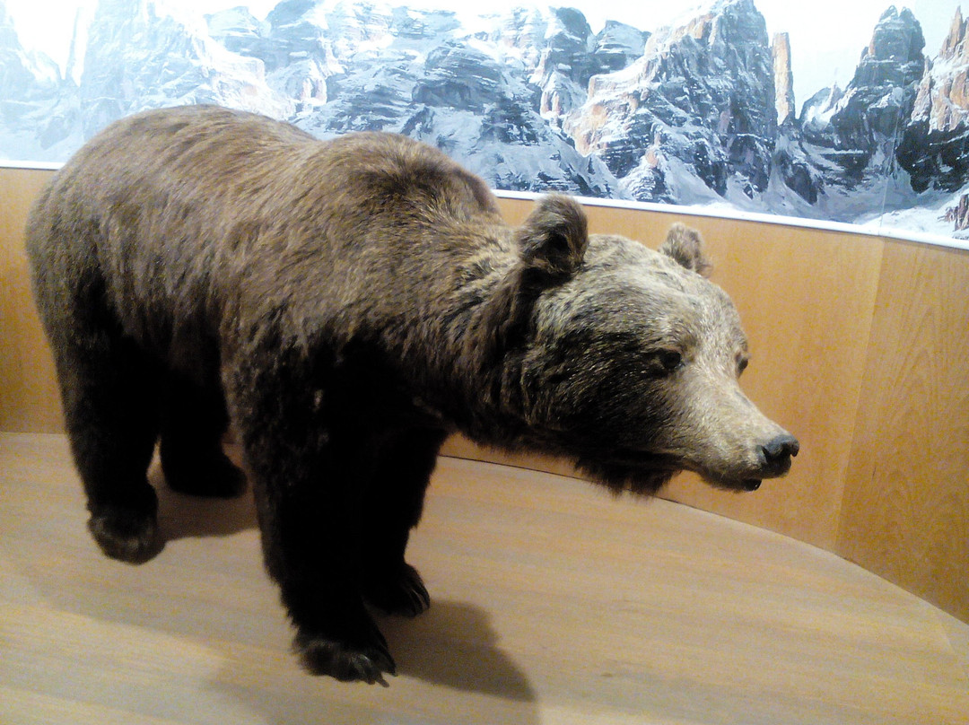 Casa Dell'orso Centro Visitatori景点图片