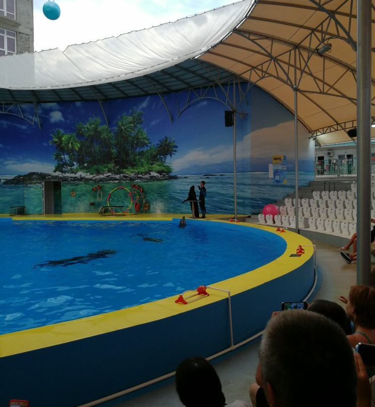 Dolphinarium景点图片
