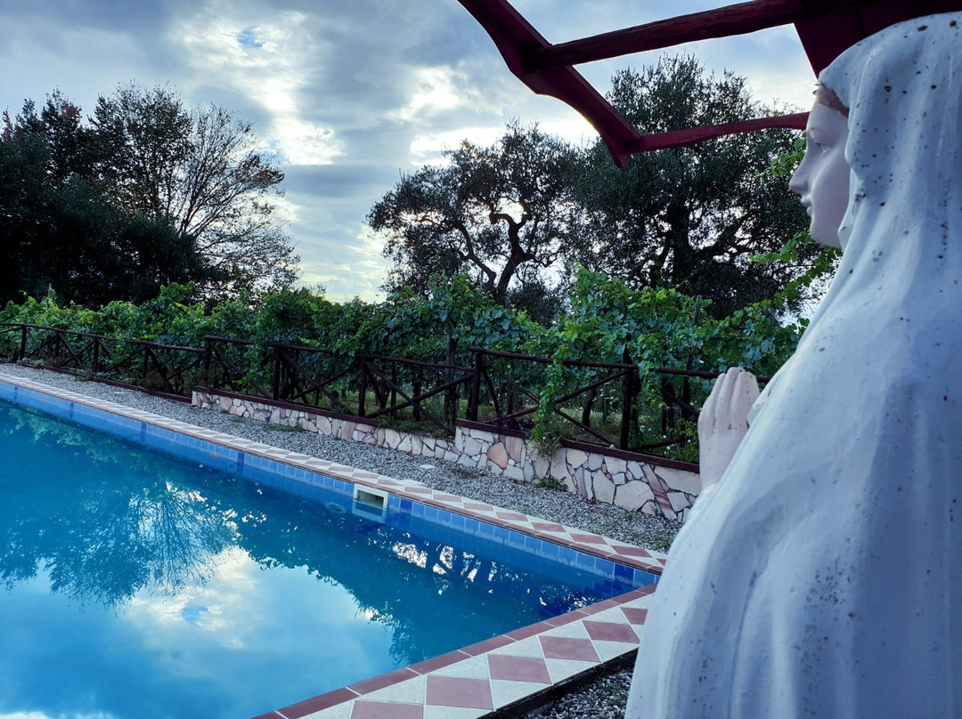 L'Oasi Bed and Breakfast主图