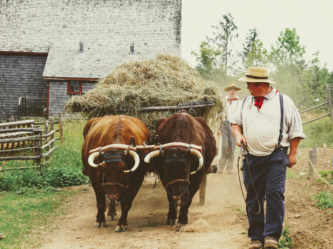 Ross Farm Museum-New Ross必去景点