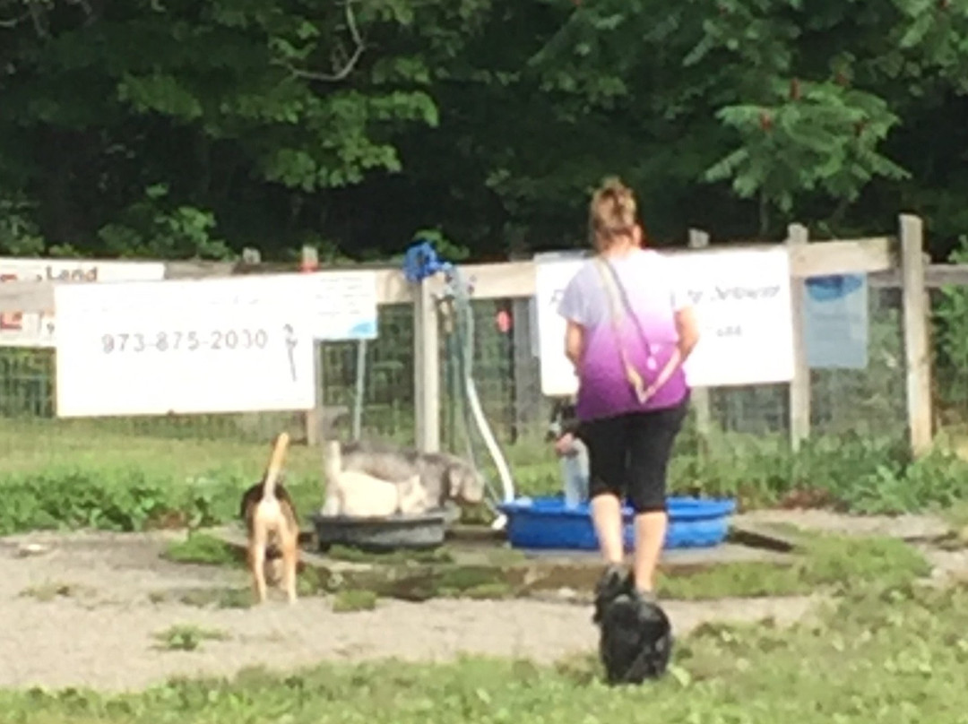Wantage Dog Park-Wantage必去景点