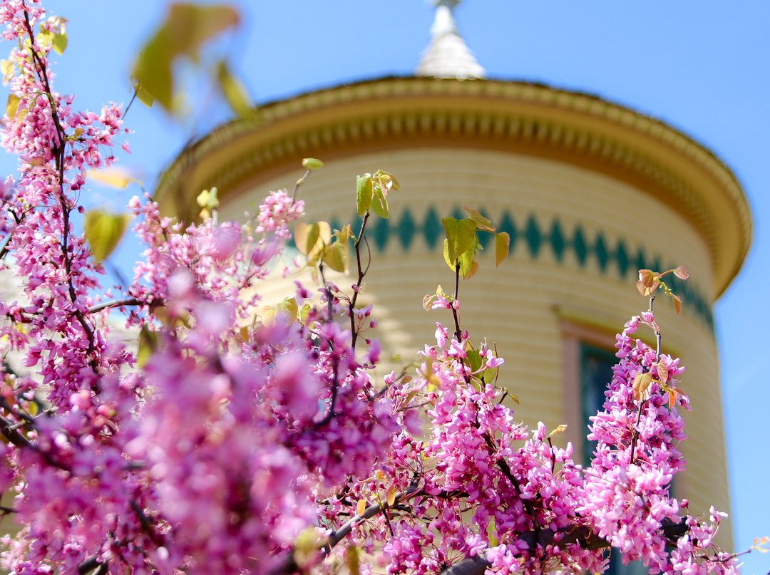 Moore-Lindsay Historical House Museum-诺曼必去景点