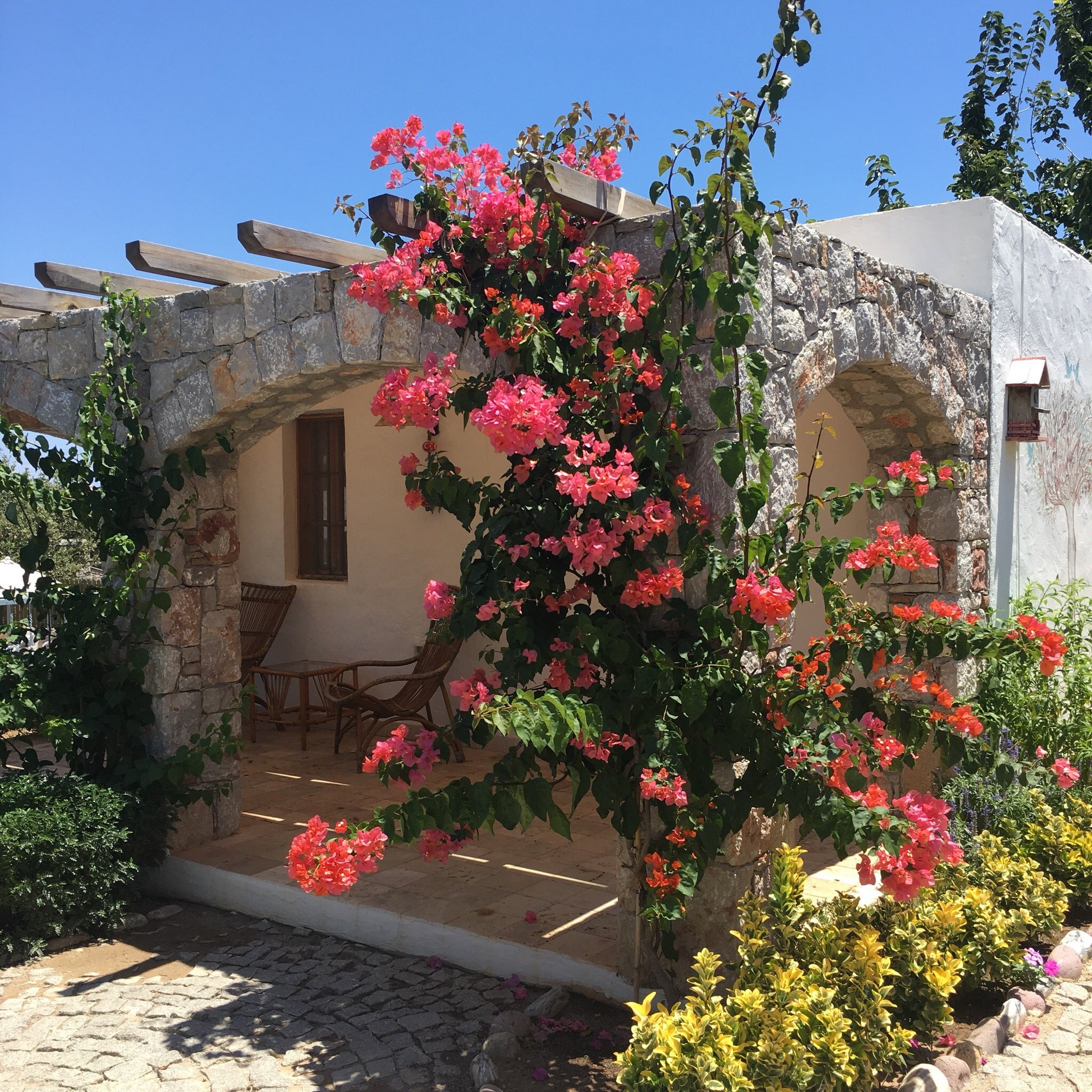 Kaya Guest House-官方