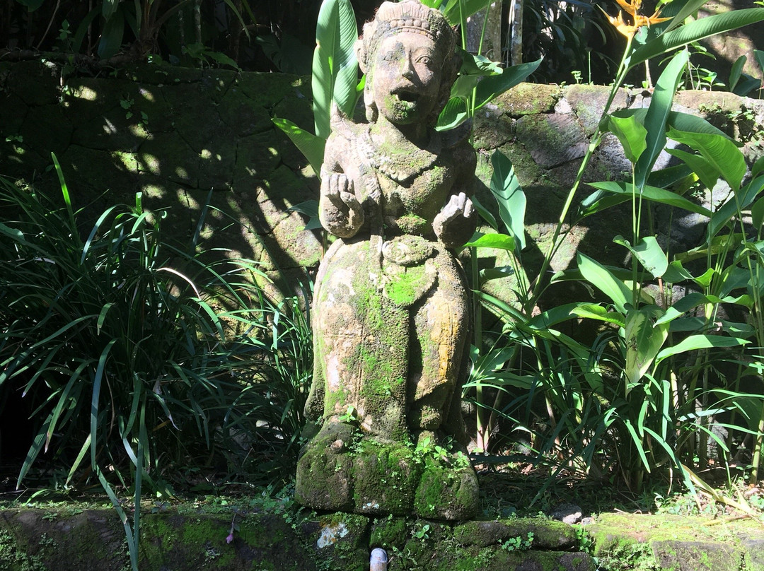 阿拉曼达精英之家别墅主图