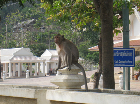 Phetchaburi Provincial City Pillar Shrine-碧差汶必去景点