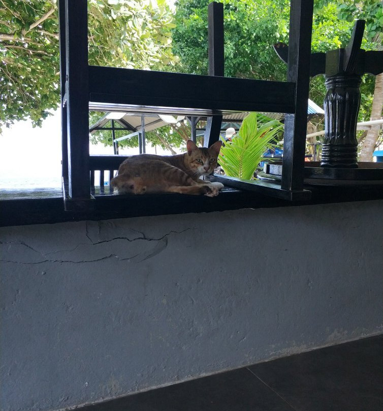 西里伯斯海滩度假村主图