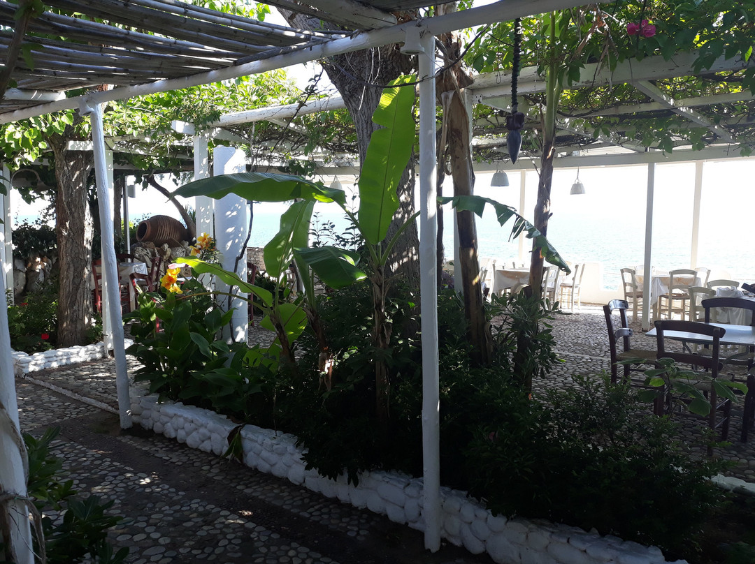 Taradella Hotel主图