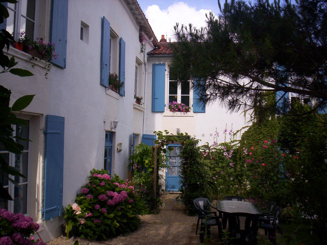 Parfum du Sud